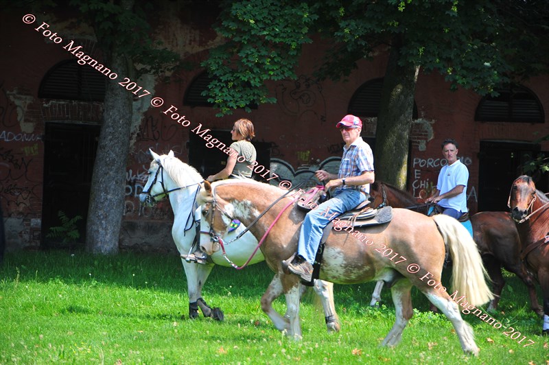 DSC_0938.JPG